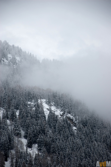 Mist in de bergen