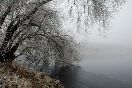 Winter in Brabant