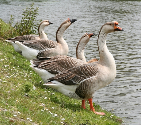 Klaar voor de start!