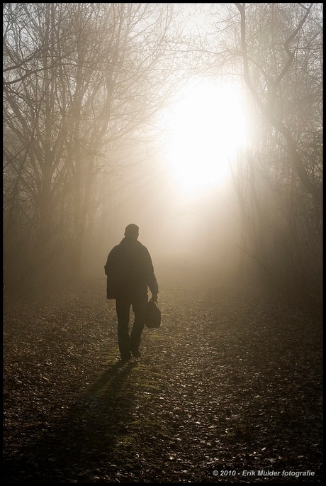 Op weg naar het licht.....