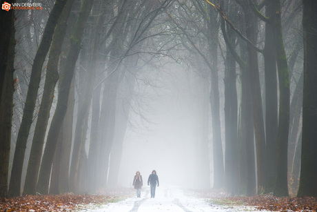 On a misty and cold morning