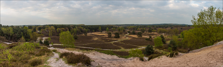 Brunssumerheide