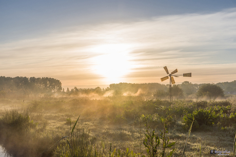 Zonsopgang met Nevel