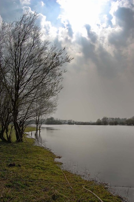 Stukje uiterwaarden