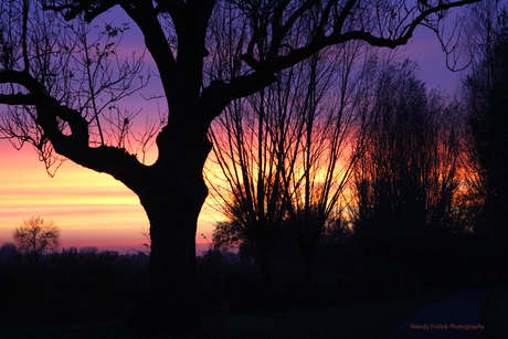 colors of sunset