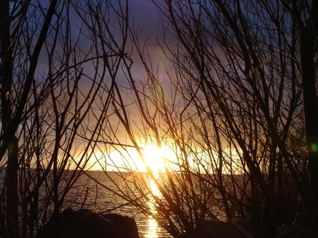 IJsselmeer by evening