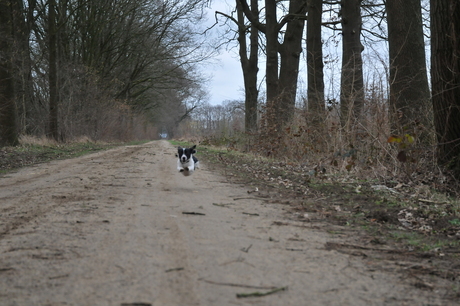 max in actie