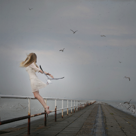 de lessen van een zeemeeuw