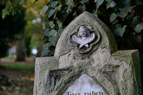 Oude begraafplaats Rheine 4
