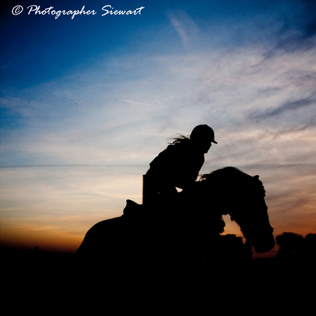 Horse Jumping Sunset