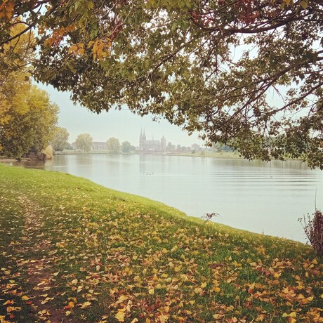 Cuijk aan de Maas herfst 2020