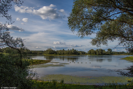 Landschap in Millingerwaard