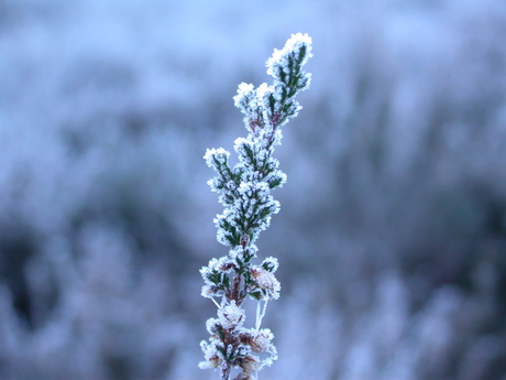 Wintertijd 2007