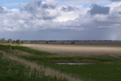 Polder