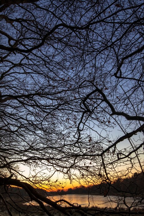 Zonsondergang Pannenhoef Rijsbergen