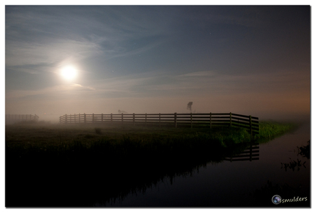 Maanlicht in de achtertuin