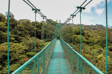 Hangende brug in Monteverde Cloud Forrest