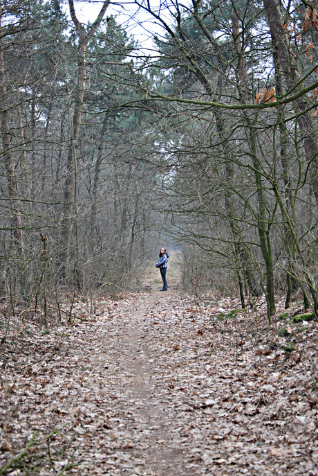 alleen in het bos