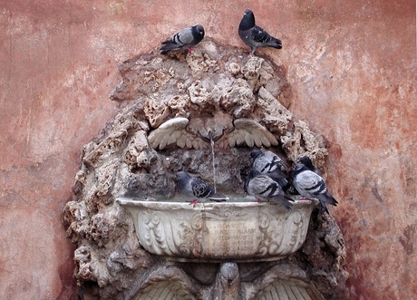 Fontein met duiven, Aventijn, Roma