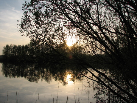 waterig zonnetje