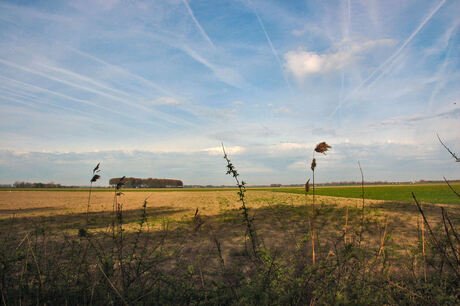 landschap