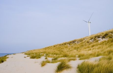 Duinen Slufter