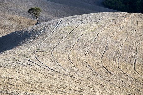 Toscane