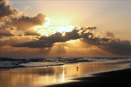 Terschelling