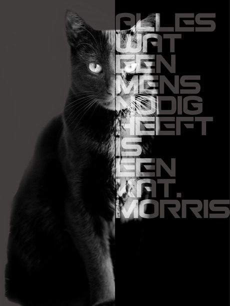 Poster Morris