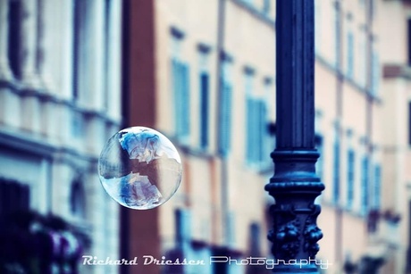 Bubble explores the world