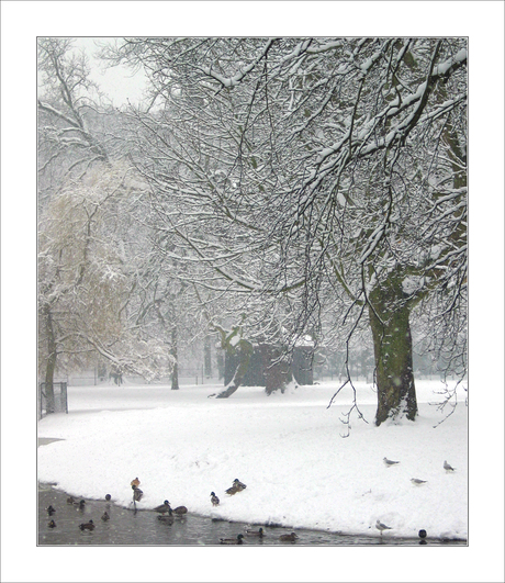 Heerlijk die sneeuw