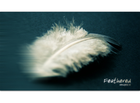 Feathered