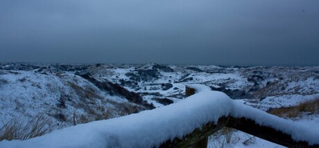 Sneeuwduinen