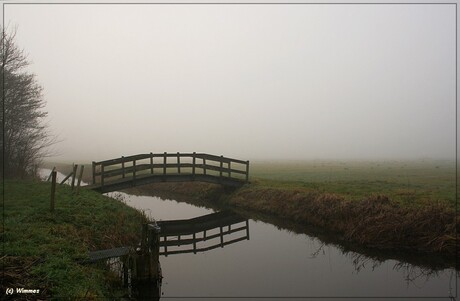 Mist in de polder 4