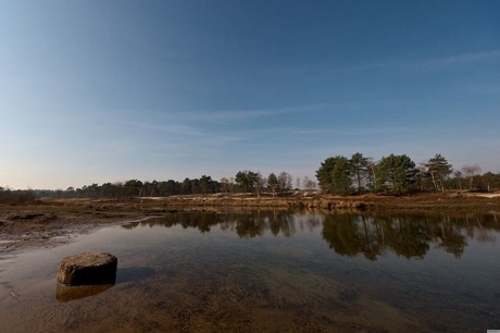 Brunssumer heide