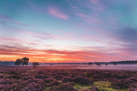 Colourful morning - Hilversum