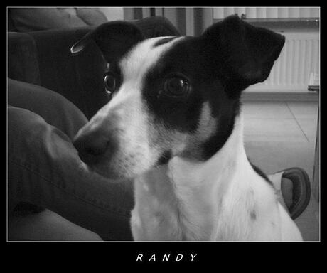 Randy