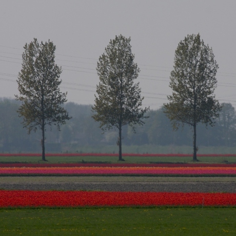 Polderaanzicht