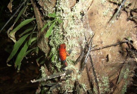 Costa Rica