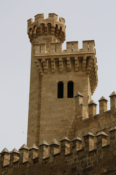 Palma de mallorca