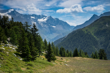 Bergweide in de Franse Alpen
