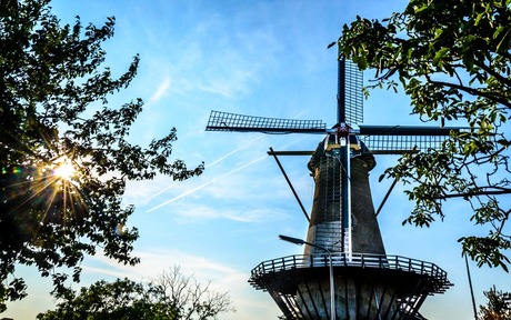 Molen