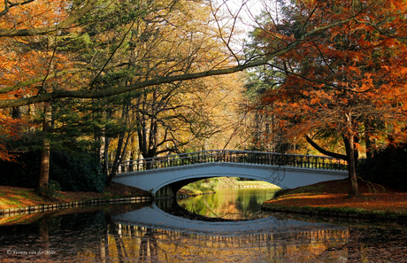 Brug in herfst....