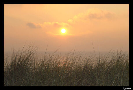 Zonsondergang