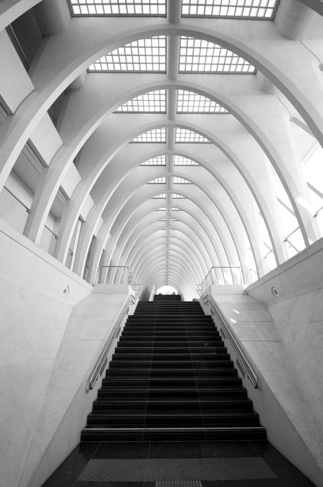 0006_Luik Guillemins-9