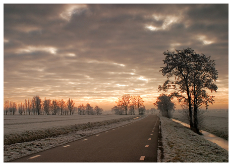 Winters landschap