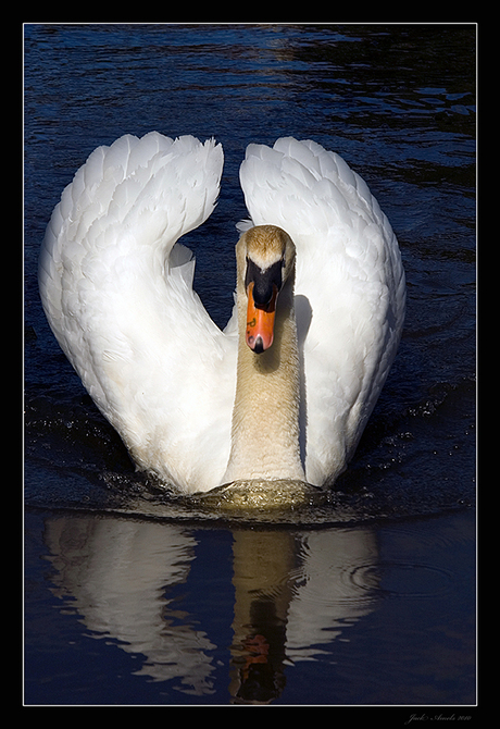 Vol op stoom 2