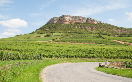 Wijnveld Bourgogne