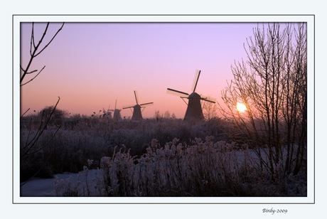 De zon Kinderdijk