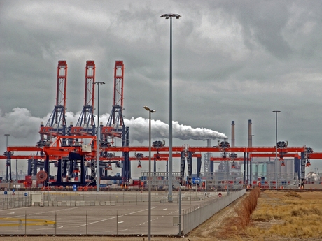 Maasvlakte